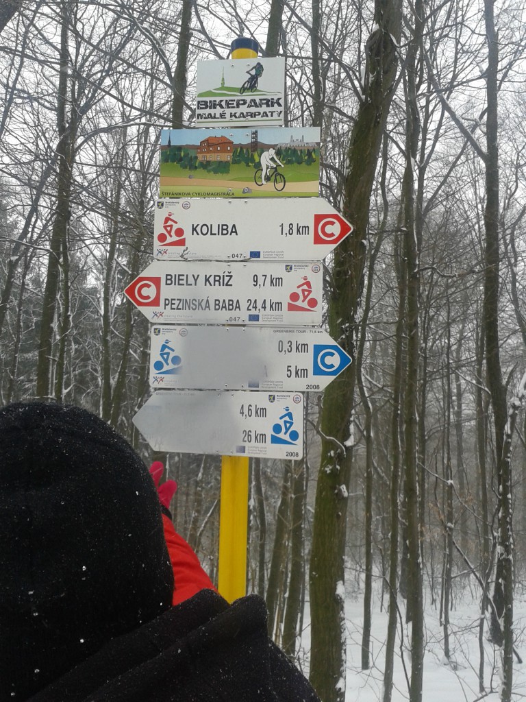 20150129_113628